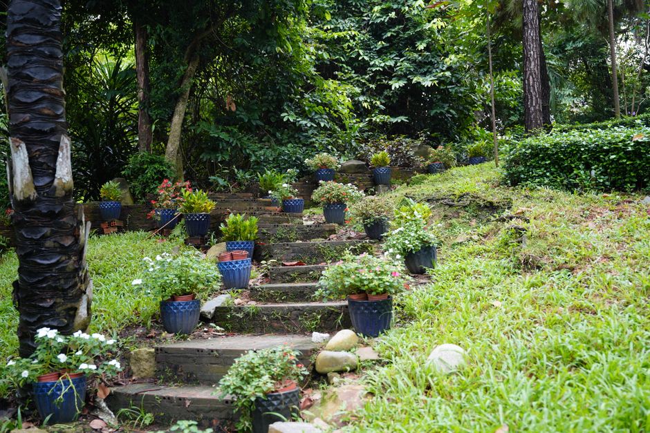Idées créatives et simples pour aménager votre jardin